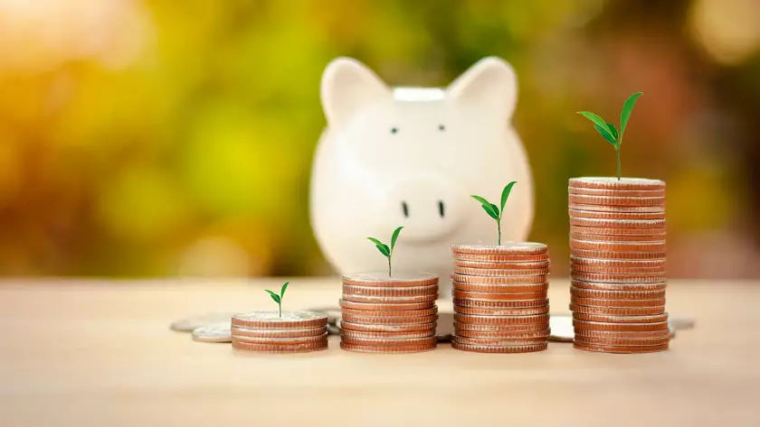 Spořit nebo investovat?