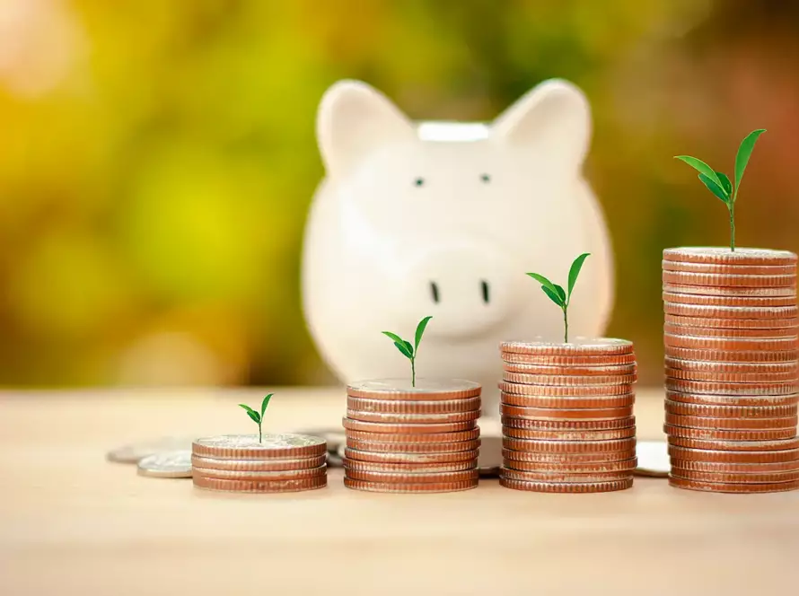 Spořit nebo investovat?