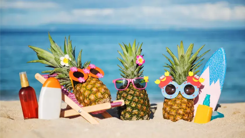 Dovolená v Pultar a partneři