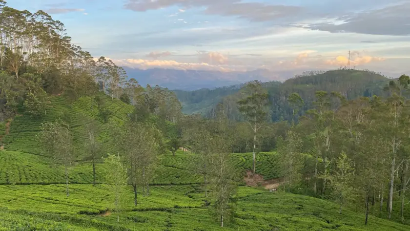 Za světovými majáky - Srí Lanka