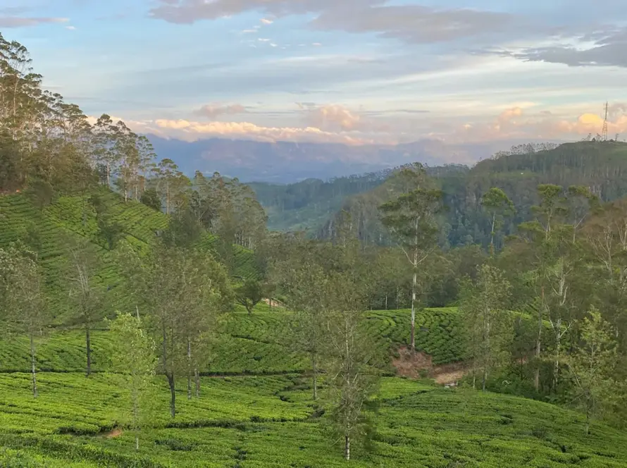 Za světovými majáky - Srí Lanka