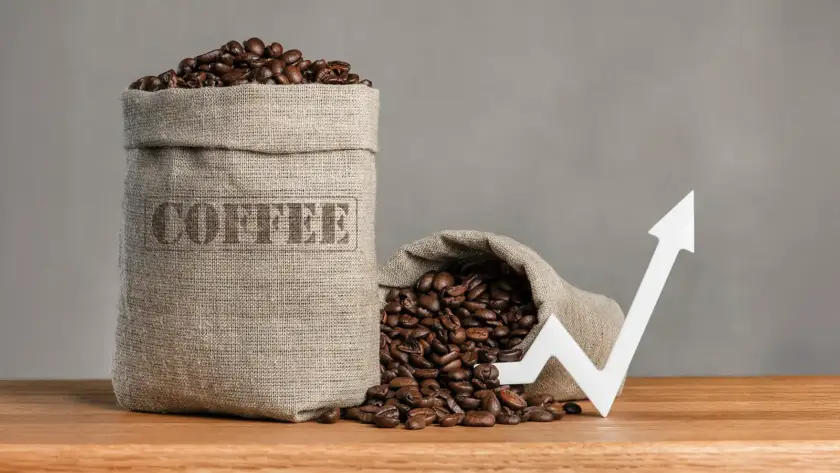 Jak investovat do komodit?