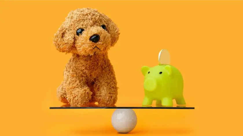 Na pojištění odpovědnosti pejskaři nemyslí