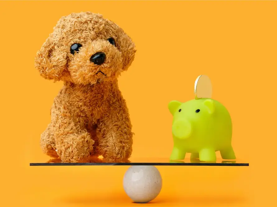 Na pojištění odpovědnosti pejskaři nemyslí