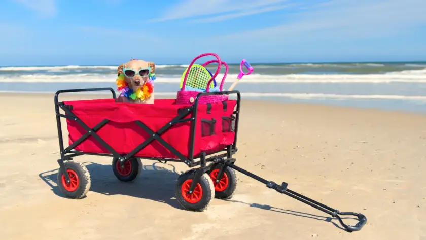 Od 28. 7. do 3. 8. 2025 bude hradecká kancelář společnosti Pultar a partneři s.r.o. uzavřena z důvodu dovolené.