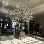 Investiční nemovitosti v Albánii